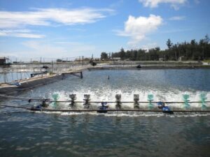 Nâng cao hiệu quả xử lý nước với những ứng dụng đặc biệt của Chlorine- Ảnh 5.